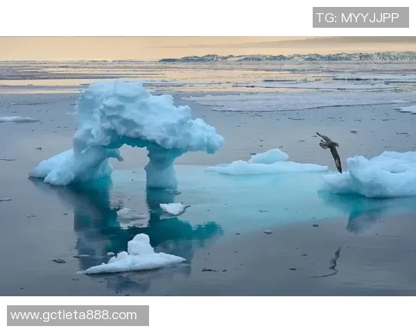 全球气候变化加剧 极端天气频发各国紧急应对新挑战