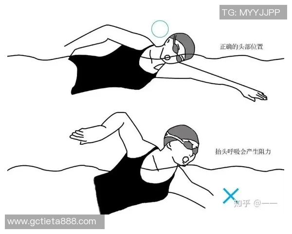自由泳初学者入门指南：从基础技巧到提高速度的全面学习路线