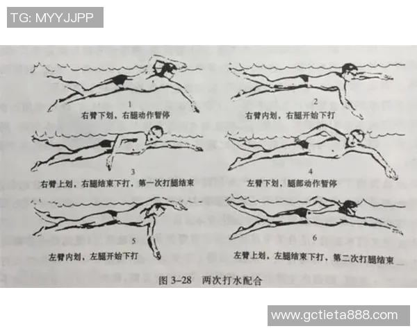 自由泳技巧提升：常见错误解析与纠正方法详解