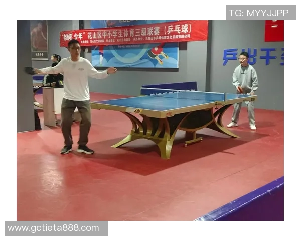 陈娜的乒乓球人生深度对话探索她的成长与奋斗历程